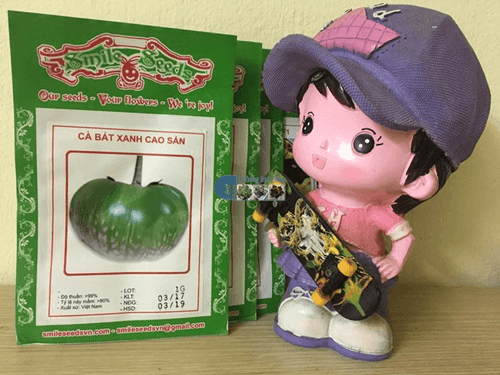 Túi hạt giống cà bát xanh da ếch - Cửa hàng hạt giống Mỹ Đình