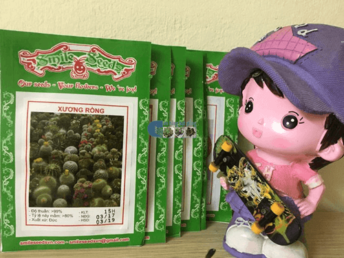 Vỏ gói hạt giống xương rồng mix - Cửa hàng hạt giống Mỹ Đình