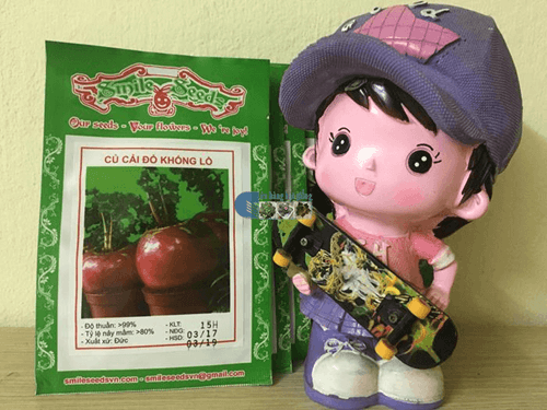 Túi hạt giống củ cải khổng lồ - Cửa hàng hạt giống Mỹ Đình