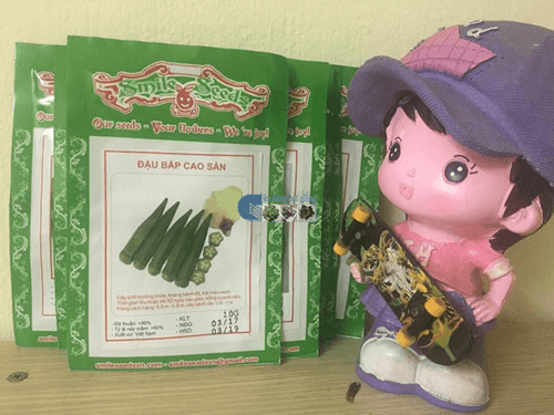 Hạt giống đậu bắp xanh sau khi đã được đóng gói