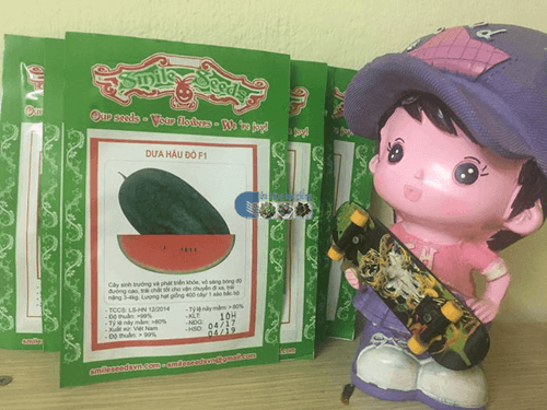 Gói hạt giống dưa hấu đỏ tại Cửa hàng