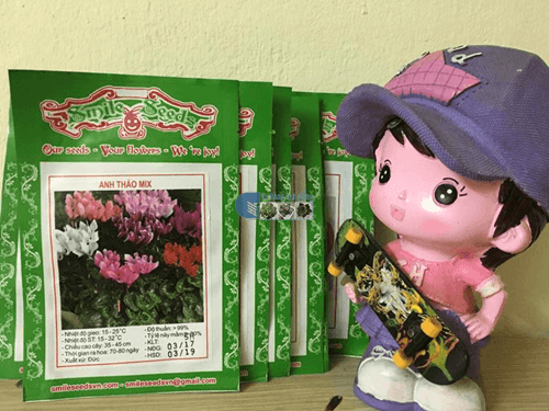 Gói hạt giống hoa anh thảo mix - Cửa hàng hạt giống Mỹ Đình