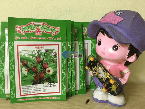 Gói hạt giống hoa atiso tại Cửa hàng hạt giống Mỹ Đình
