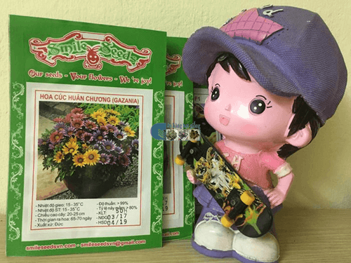 Vỏ gói hạt giống hoa cúc huân chương mix - Cửa hàng hạt giống Mỹ Đình