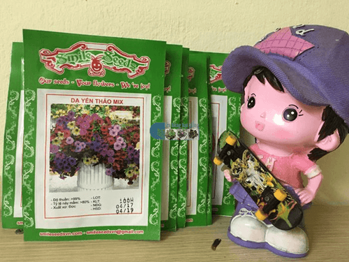 Gói hạt giống Dạ yến thảo mix - Cửa hàng hạt giống Mỹ Đình