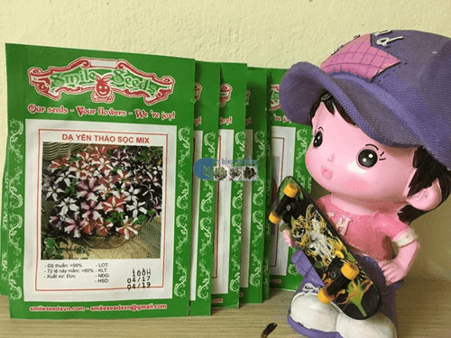 Gói hạt giống Dạ yến thảo sọc mix - Cửa hàng hạt giống Mỹ Đình