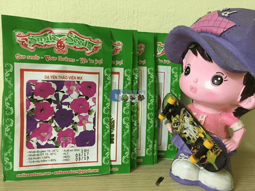 Bao bì gói hạt giống dạ yến thảo viền mix - Cửa hàng hạt giống Mỹ Đình