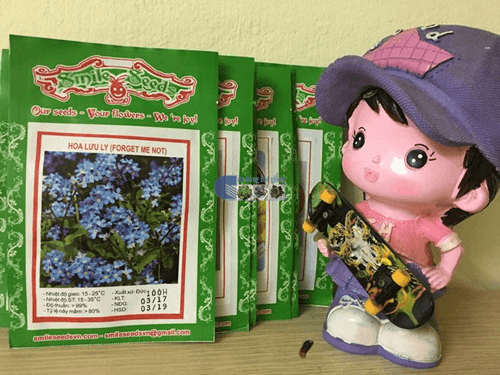 Túi hạt giống hoa lưu ly - Cửa hàng hạt giống Mỹ Đình