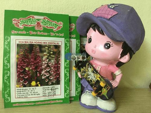 Bịch hạt giống hoa mao địa hoàng mix - Cửa hàng hạt giống Mỹ Đình
