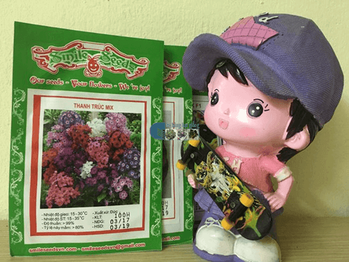 Gói hạt giống hoa thanh trúc mix - Cửa hàng hạt giống Mỹ Đình