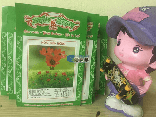 Túi hạt giống hoa uyển hồng Cửa hàng hạt giống Mỹ Đình