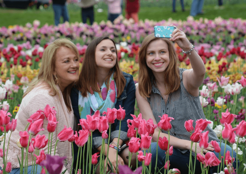 Lễ Hội Hoa Tulip Hà Lan