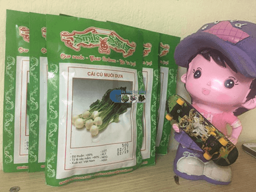 Túi hạt giống củ cải muối dưa - Cửa hàng hạt giống Mỹ Đình