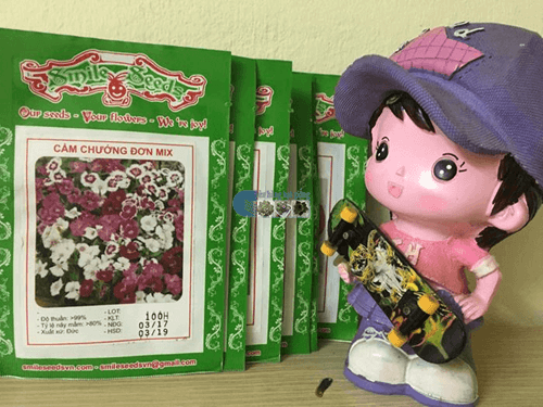 Vỏ gói hạt giống cẩm chướng đơn mix - Cửa hàng hạt giống Mỹ Đình