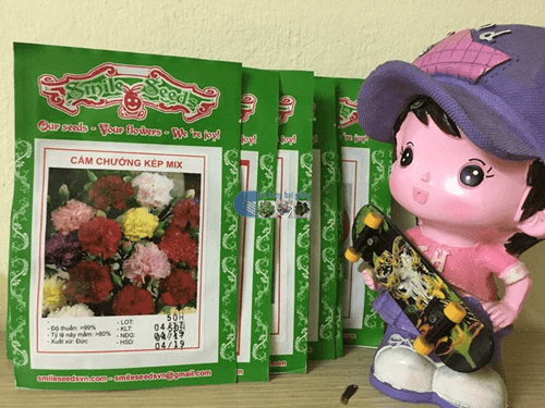 Vỏ gói hạt giống cẩm chướng kép mix - Cửa hàng hạt giống Mỹ Đình