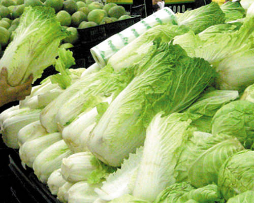 Tháng 10 trồng rau gì thì tốt